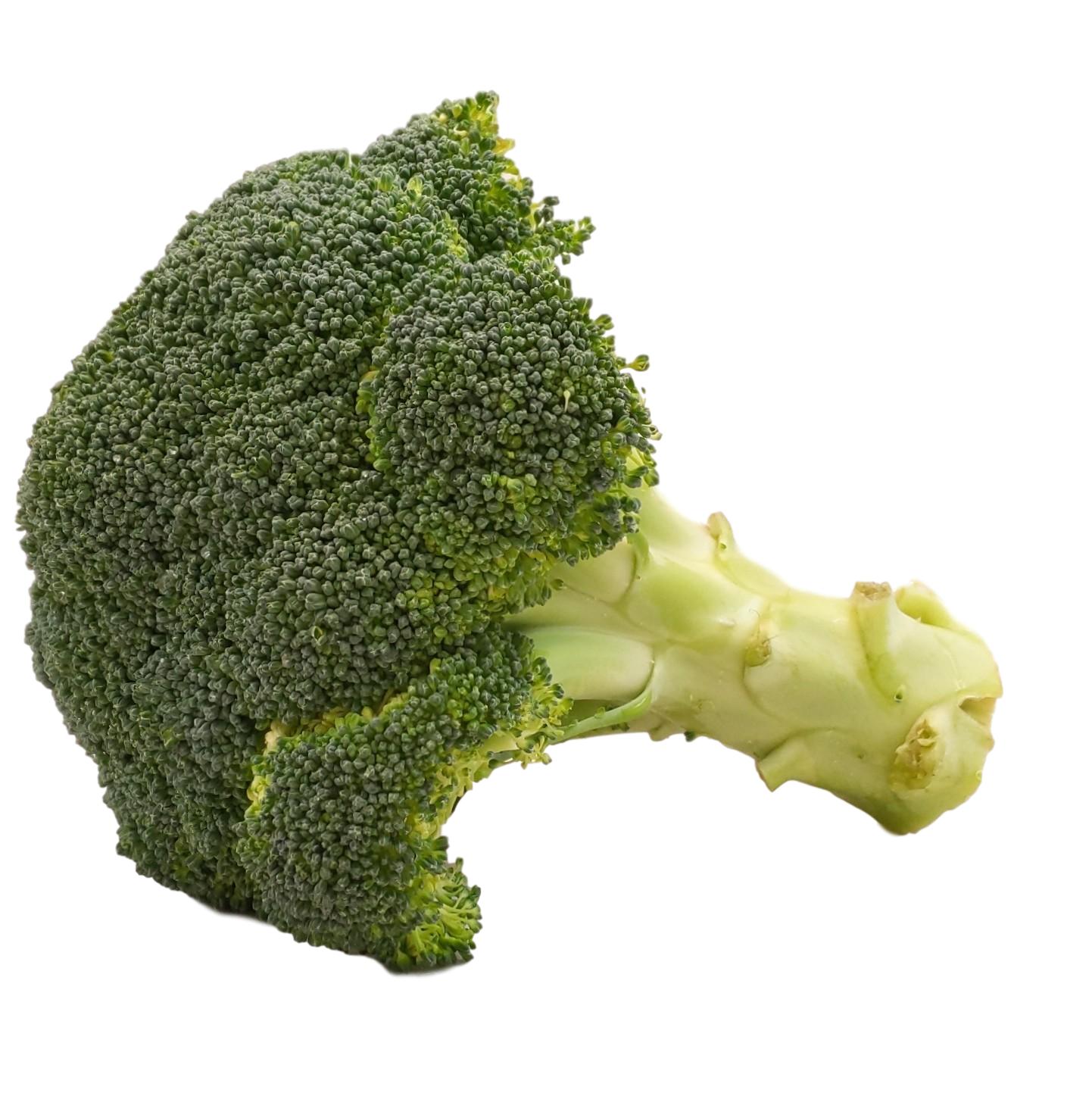 Bio Broccoli » Bio Grauer & online (klein-mittel) Shop bestellen kaufen