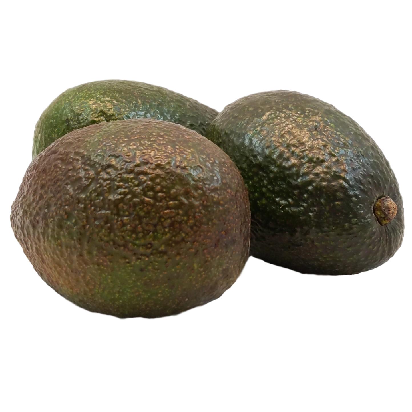 Bio Avocado online & » Shop kaufen Grauer Bio bestellen